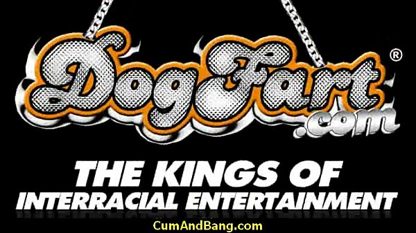 Black slut used for blowjobs by a group of whit…