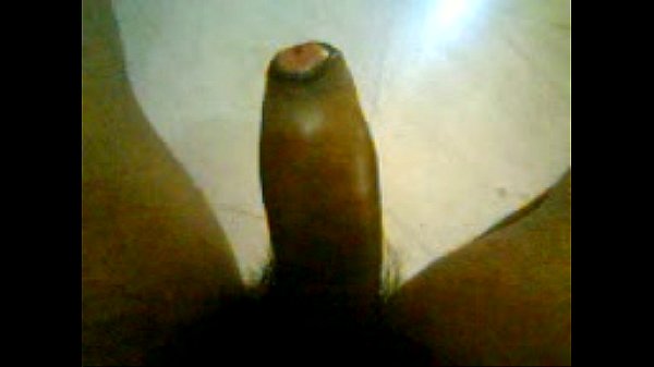indian wet penis